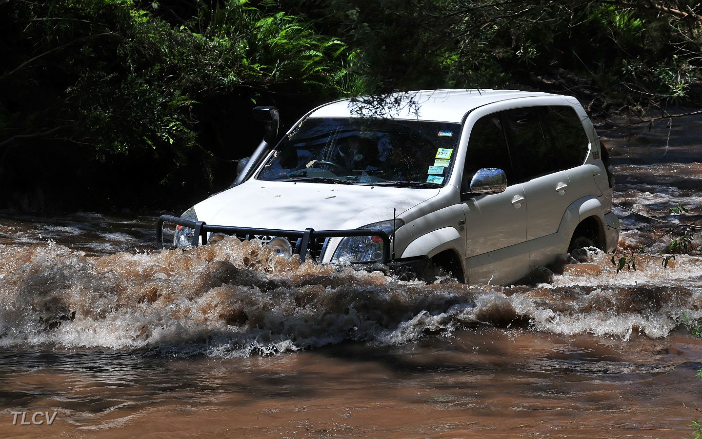 25-Pioneer enjoys the Ben Cruachan Creek crossing.jpg